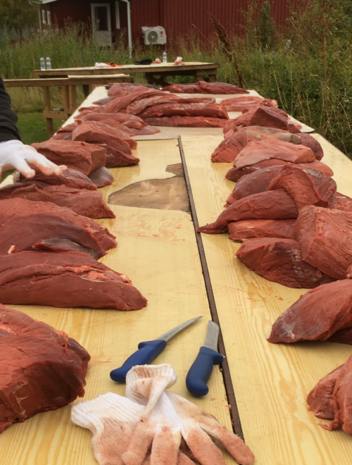 Försäljning av viltkött & fisk Försäljning av viltkött & fisk